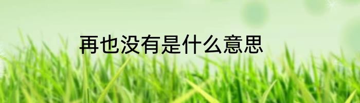再也没有是什么意思