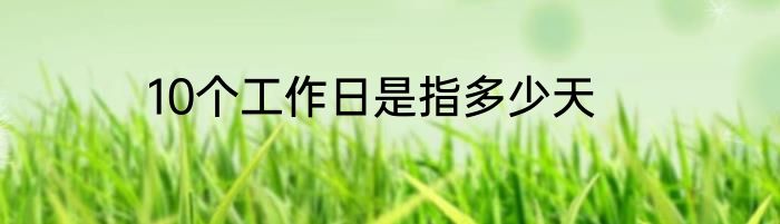 10个工作日是指多少天