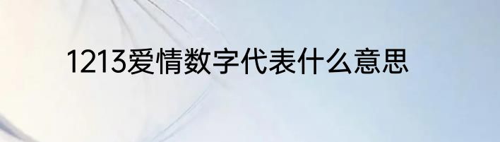 1213爱情数字代表什么意思