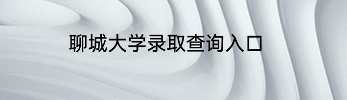 聊城大学录取查询入口