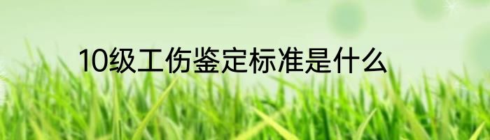 10级工伤鉴定标准是什么