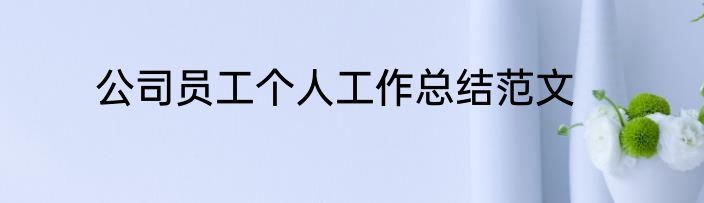 公司员工个人工作总结范文