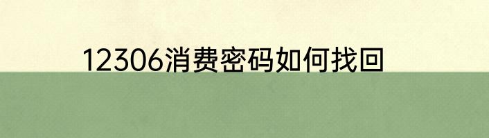 12306消费密码如何找回