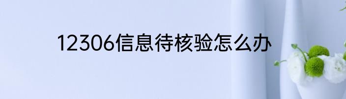 12306信息待核验怎么办