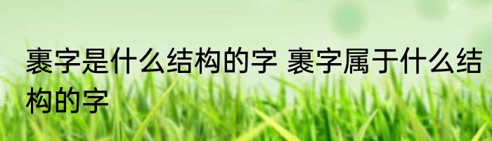裹字是什么结构的字 裹字属于什么结构的字