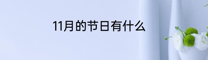 11月的节日有什么