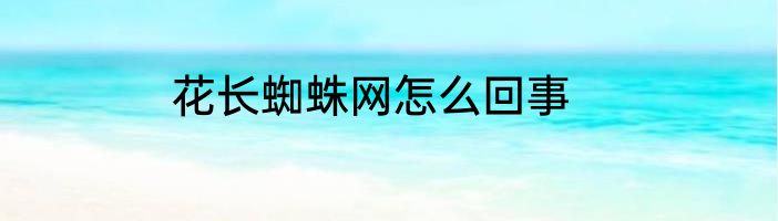 花长蜘蛛网怎么回事