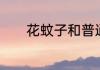 花蚊子和普通蚊子有什么区别