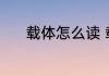 载体怎么读 载体的读音和解释