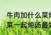 牛肉加什么菜炖汤最好吃 牛肉和什么菜一起炖汤最好吃