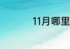 11月哪里比较适合旅游