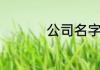 公司名字大全参考取名