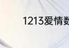 1213爱情数字代表什么意思