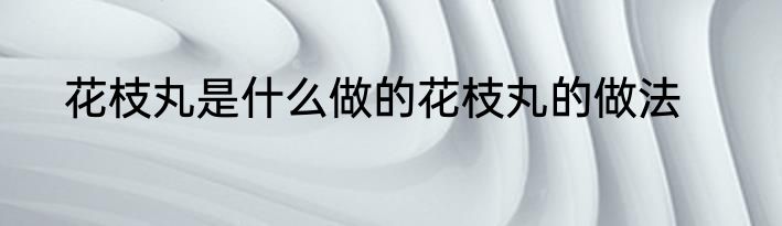 花枝丸是什么做的花枝丸的做法