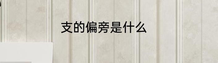 支的偏旁是什么