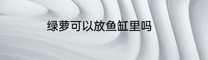 绿萝可以放鱼缸里吗
