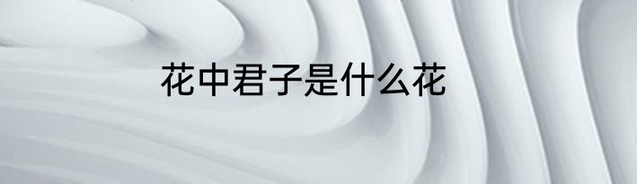 花中君子是什么花