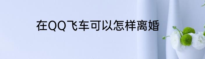 在QQ飞车可以怎样离婚