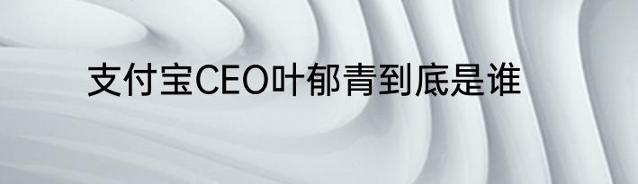 支付宝CEO叶郁青到底是谁