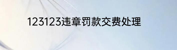 123123违章罚款交费处理