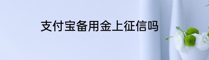 支付宝备用金上征信吗