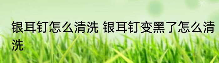 银耳钉怎么清洗 银耳钉变黑了怎么清洗