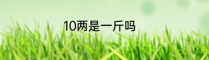 10两是一斤吗
