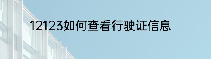 12123如何查看行驶证信息