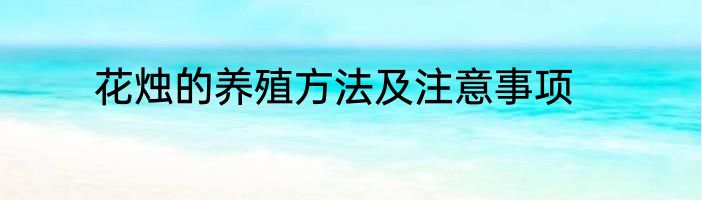 花烛的养殖方法及注意事项