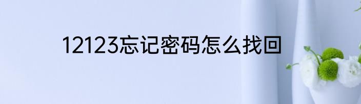 12123忘记密码怎么找回