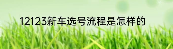 12123新车选号流程是怎样的