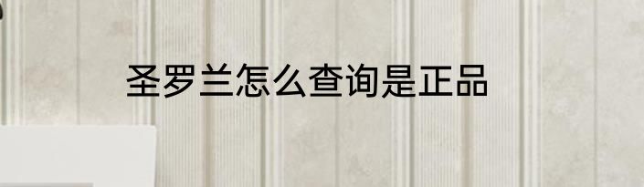 圣罗兰怎么查询是正品