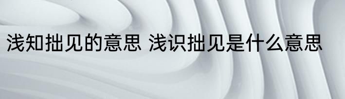 浅知拙见的意思 浅识拙见是什么意思