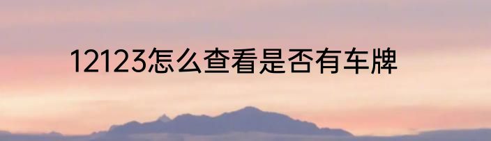 12123怎么查看是否有车牌
