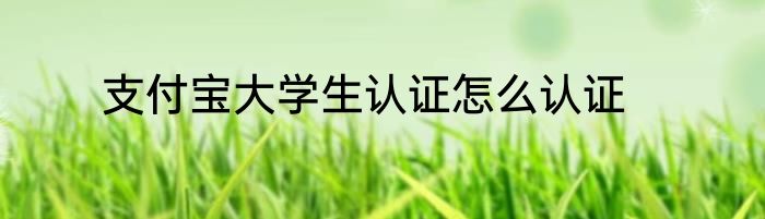 支付宝大学生认证怎么认证