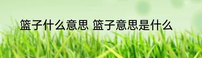 篮子什么意思 篮子意思是什么