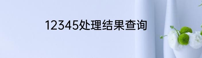 12345处理结果查询