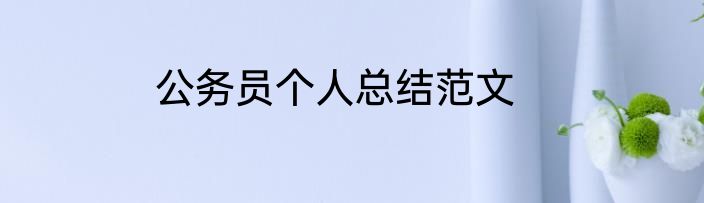 公务员个人总结范文