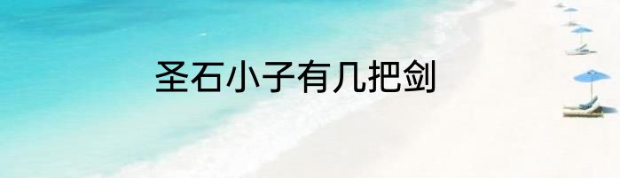 圣石小子有几把剑