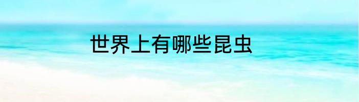 世界上有哪些昆虫