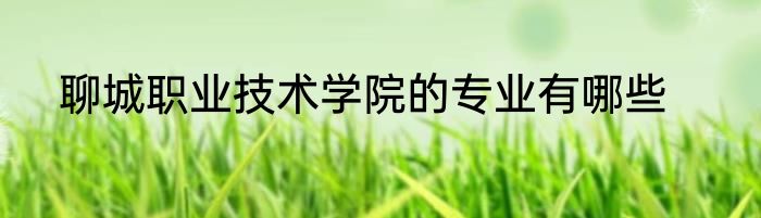 聊城职业技术学院的专业有哪些