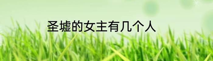 圣墟的女主有几个人