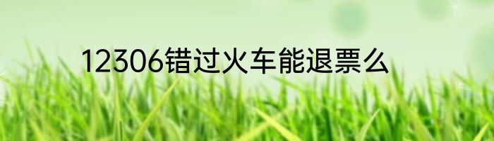 12306错过火车能退票么