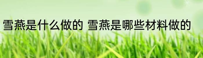 雪燕是什么做的 雪燕是哪些材料做的