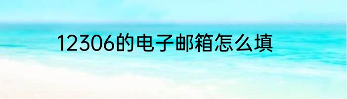 12306的电子邮箱怎么填