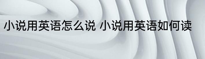 小说用英语怎么说 小说用英语如何读