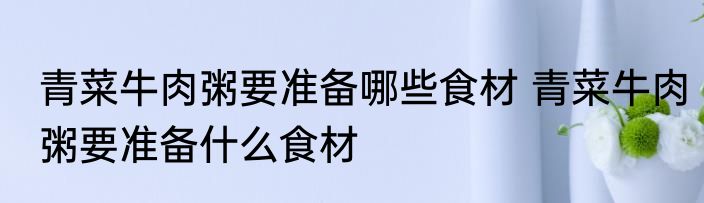 青菜牛肉粥要准备哪些食材 青菜牛肉粥要准备什么食材