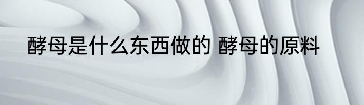 酵母是什么东西做的 酵母的原料