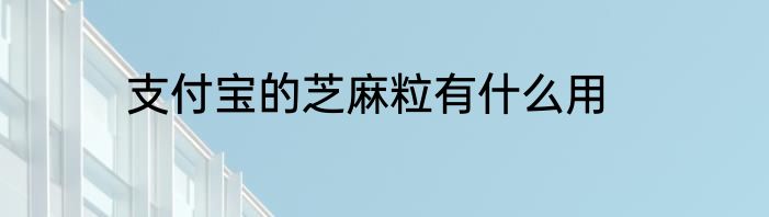 支付宝的芝麻粒有什么用