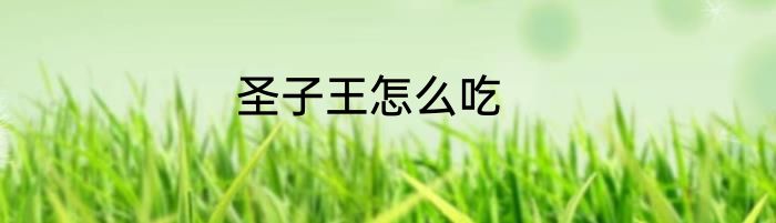圣子王怎么吃